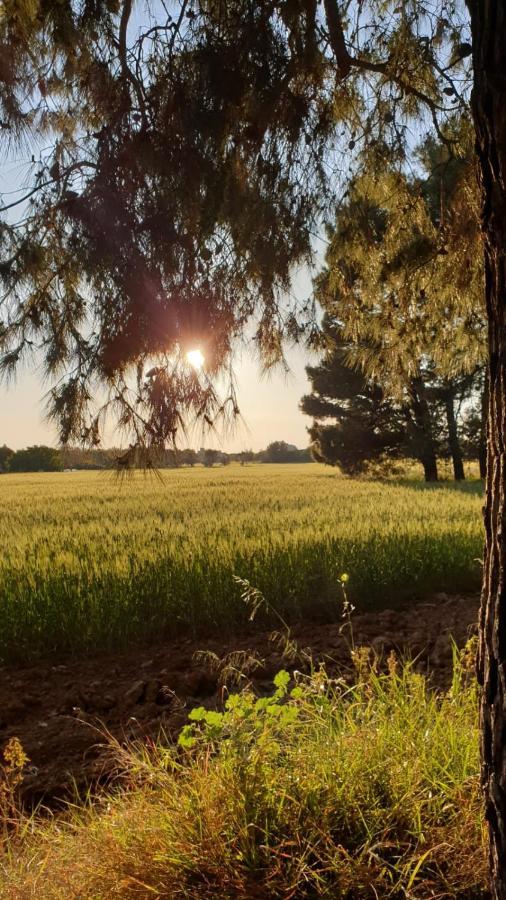 Masseria Vivi Il Salento Santa Caterina  Dış mekan fotoğraf