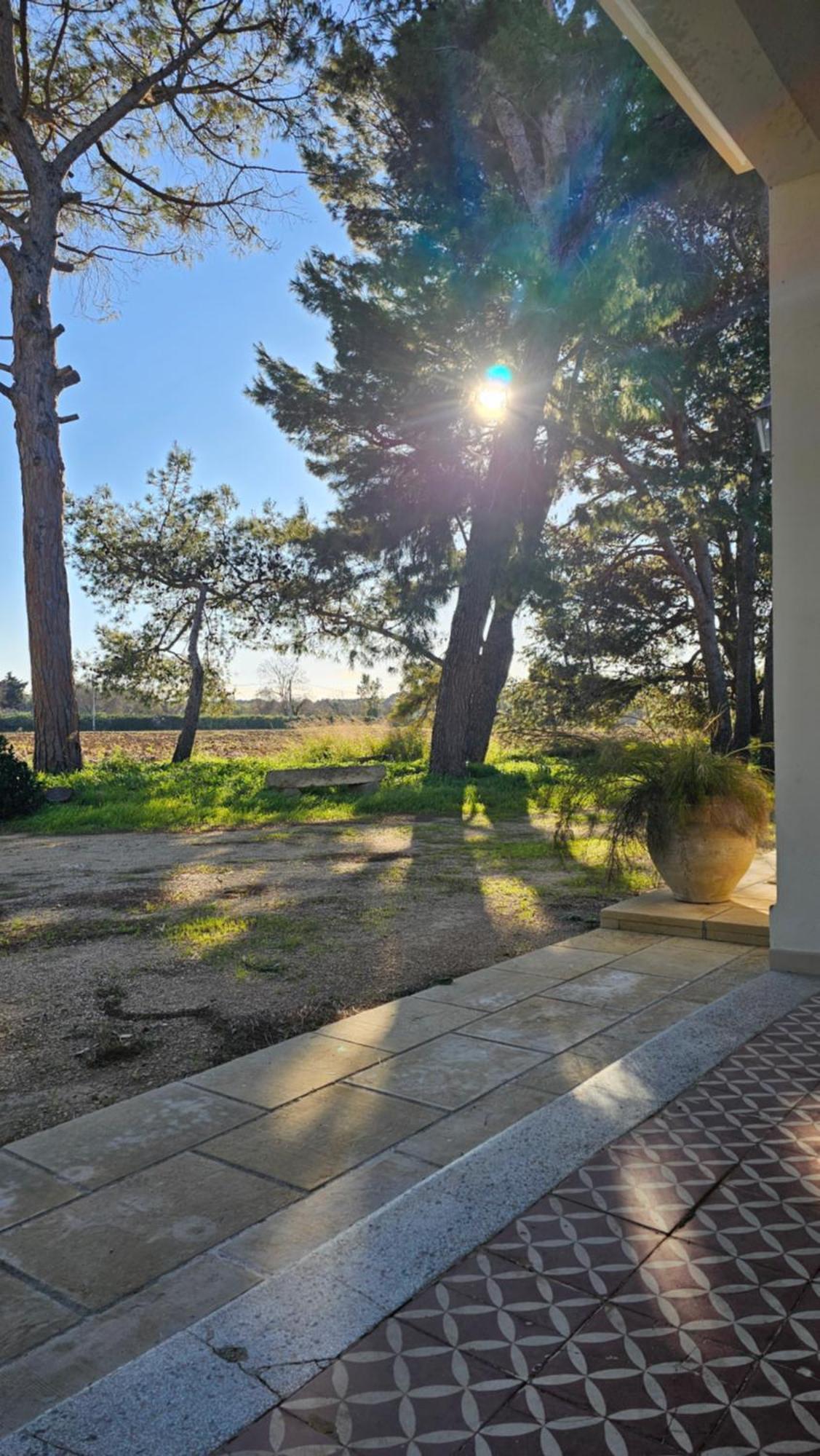 Masseria Vivi Il Salento Santa Caterina  Dış mekan fotoğraf