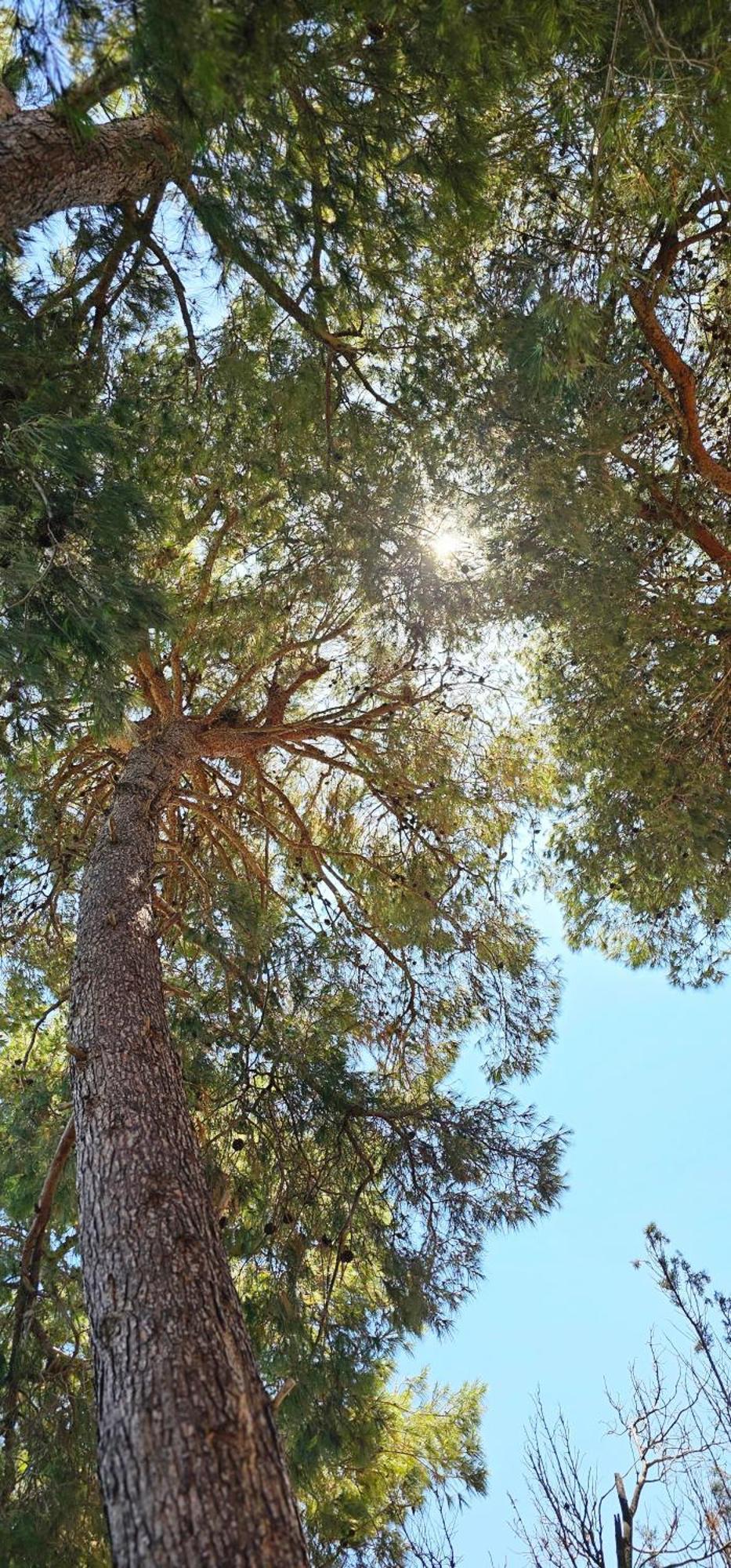 Masseria Vivi Il Salento Santa Caterina  Dış mekan fotoğraf