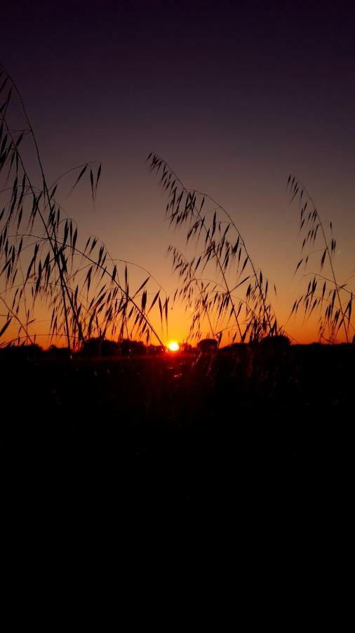 Masseria Vivi Il Salento Santa Caterina  Dış mekan fotoğraf