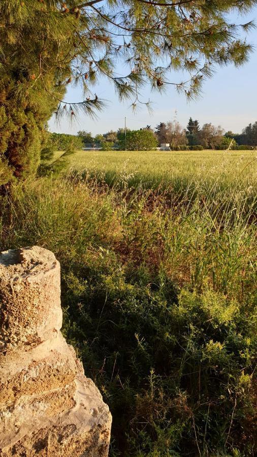 Masseria Vivi Il Salento Santa Caterina  Dış mekan fotoğraf